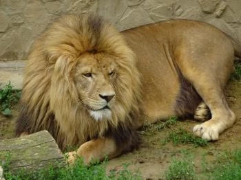 Pécsi Állatkert Pécs