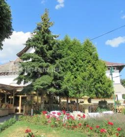 Pekáry Kastély Étterem