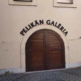 Pelikán Galéria, Székesfehérvár - Egyéb