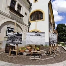 Pelikán Galéria, Székesfehérvár - Egyéb