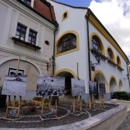 Pelikán Galéria, Székesfehérvár - Egyéb