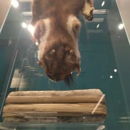 Pénzmúzeum Budapest - Egyéb