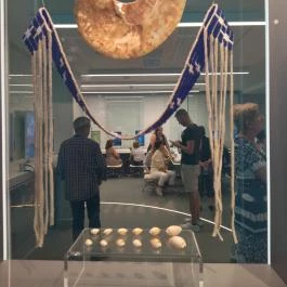 Pénzmúzeum Budapest - Egyéb