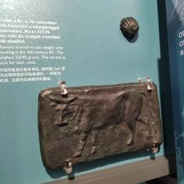 Pénzmúzeum Budapest - Egyéb