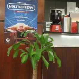 Pepita Kávézó - Átrium, Budapest - Egyéb