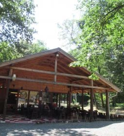 Peron Café - Holdfény Liget