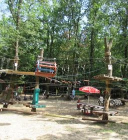 Peron Café - Holdfény Liget