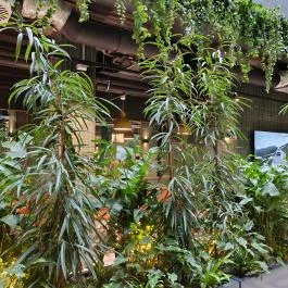 Pesti István séf és a CANTEEN - Time Out Market, Budapest Budapest - Belső