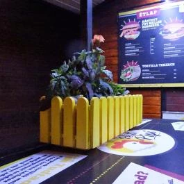 Pesti Pipi - Stadionok Budapest - Belső