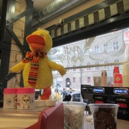 Pesti Pipi - Oktogon Budapest - Belső