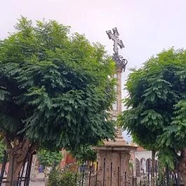 Pestiskereszt , Szentendre - Külső kép