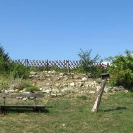 Petneházy Club Hotel Budapest - Medence/kert