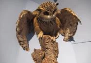 Kazinczy Ferenc Múzeum Sátoraljaújhely