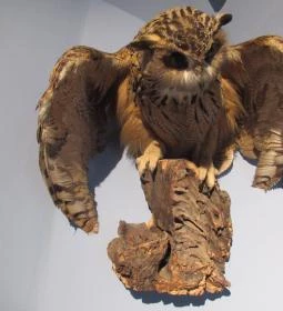 Kazinczy Ferenc Múzeum