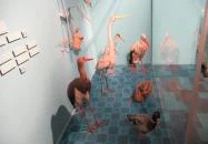 Kazinczy Ferenc Múzeum Sátoraljaújhely