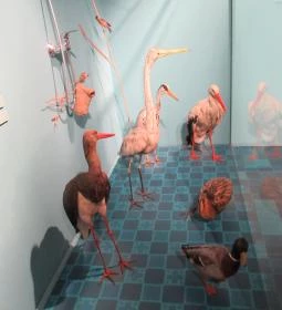 Kazinczy Ferenc Múzeum