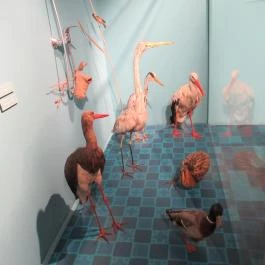 Kazinczy Ferenc Múzeum Sátoraljaújhely - Egyéb