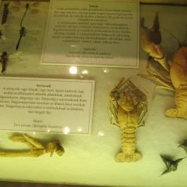 Kazinczy Ferenc Múzeum Sátoraljaújhely - Egyéb