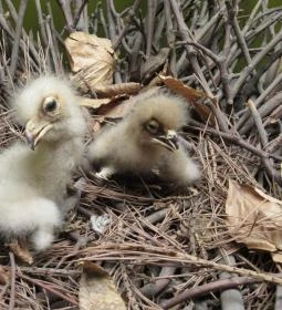 Kazinczy Ferenc Múzeum