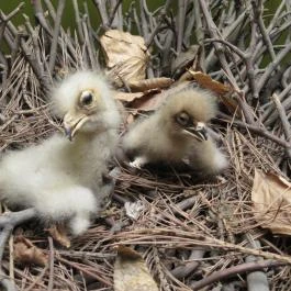 Kazinczy Ferenc Múzeum Sátoraljaújhely - Egyéb