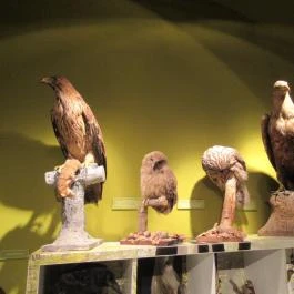 Kazinczy Ferenc Múzeum Sátoraljaújhely - Egyéb