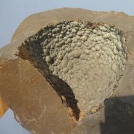 Kazinczy Ferenc Múzeum Sátoraljaújhely - Egyéb