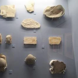 Kazinczy Ferenc Múzeum Sátoraljaújhely - Egyéb