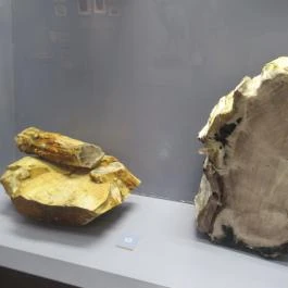 Kazinczy Ferenc Múzeum Sátoraljaújhely - Egyéb