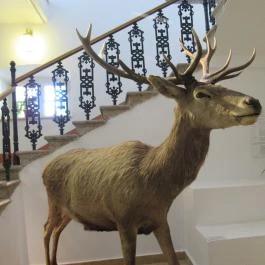 Kazinczy Ferenc Múzeum Sátoraljaújhely - Egyéb