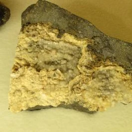 Kazinczy Ferenc Múzeum Sátoraljaújhely - Egyéb