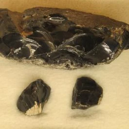 Kazinczy Ferenc Múzeum Sátoraljaújhely - Egyéb