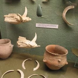 Petőfi Közérdekű Muzeális Gyűjtemény (Aszód Városi Kulturális Központ), Aszód - 