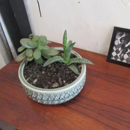 Picnic Kávézó Budapest - Belső