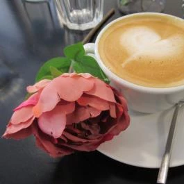 Picnic Kávézó Budapest - Étel/ital