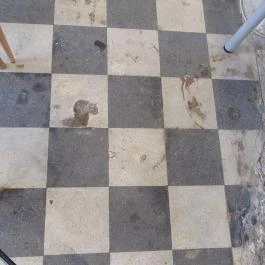 Picnic Kávézó Budapest - Egyéb