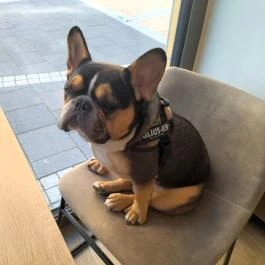 Pierre's Café Budapest - Egyéb