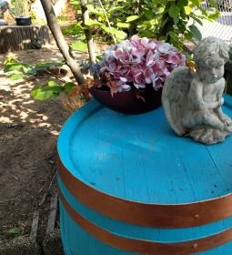 Pikk Dáma Söröző