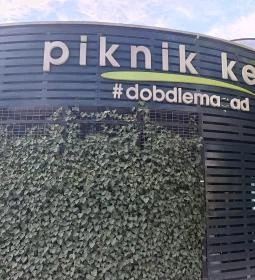 Piknik Kert