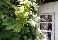 Piknik Manufaktúra Nagymaros