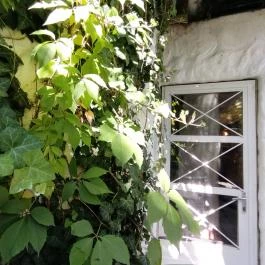 Piknik Manufaktúra Nagymaros - Egyéb