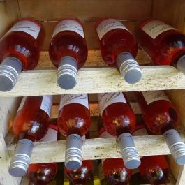 Piknik Pavilon, Budapest - Étel/ital