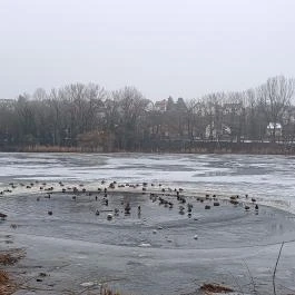Pilisszentiván Bányató, Pilisszentiván - Egyéb