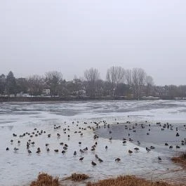 Pilisszentiván Bányató, Pilisszentiván - Egyéb