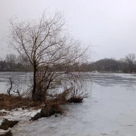 Pilisszentiván Bányató, Pilisszentiván - Egyéb