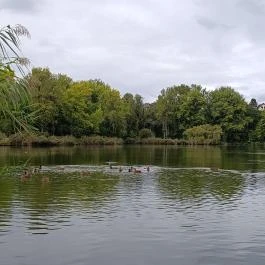 Pilisszentiván Bányató, Pilisszentiván - Egyéb