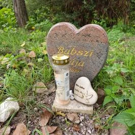 Pilisszentiván Bányató, Pilisszentiván - Egyéb