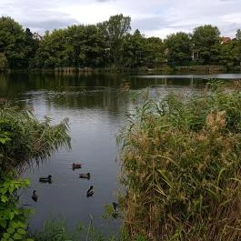 Pilisszentiván Bányató, Pilisszentiván - Egyéb