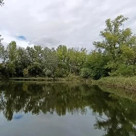 Pilisszentiván Bányató, Pilisszentiván - Egyéb