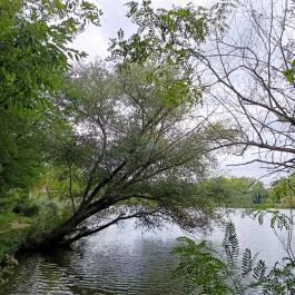 Pilisszentiván Bányató, Pilisszentiván - Egyéb