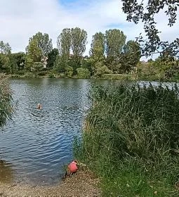 Pilisszentiván Bányató